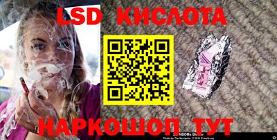 индика Бийск