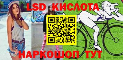 гашик Берёзовский