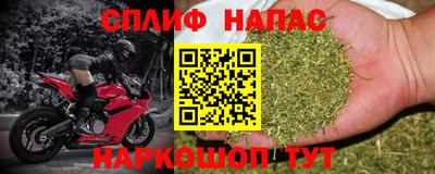 индика Бийск