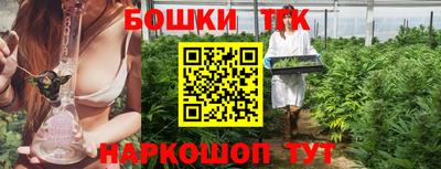 индика Бийск