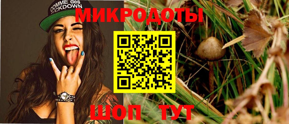 Галлюциногенные грибы Cubensis Каменка